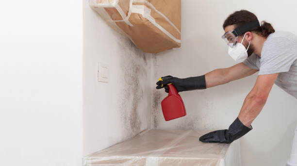 Professional Crawl Space Mold Removal technician working in Bay Shore, NY