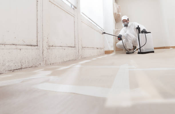 24/7 Emergency Crawl Space Mold Removal experts in Bay Shore, NY