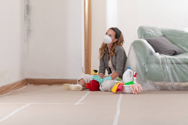 Reliable Crawl Space Mold Removal contractor in Bay Shore, NY by WQB Mold Removal